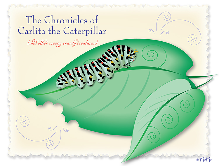 Carlita | Mo Morris | Caterpillar on a leaf